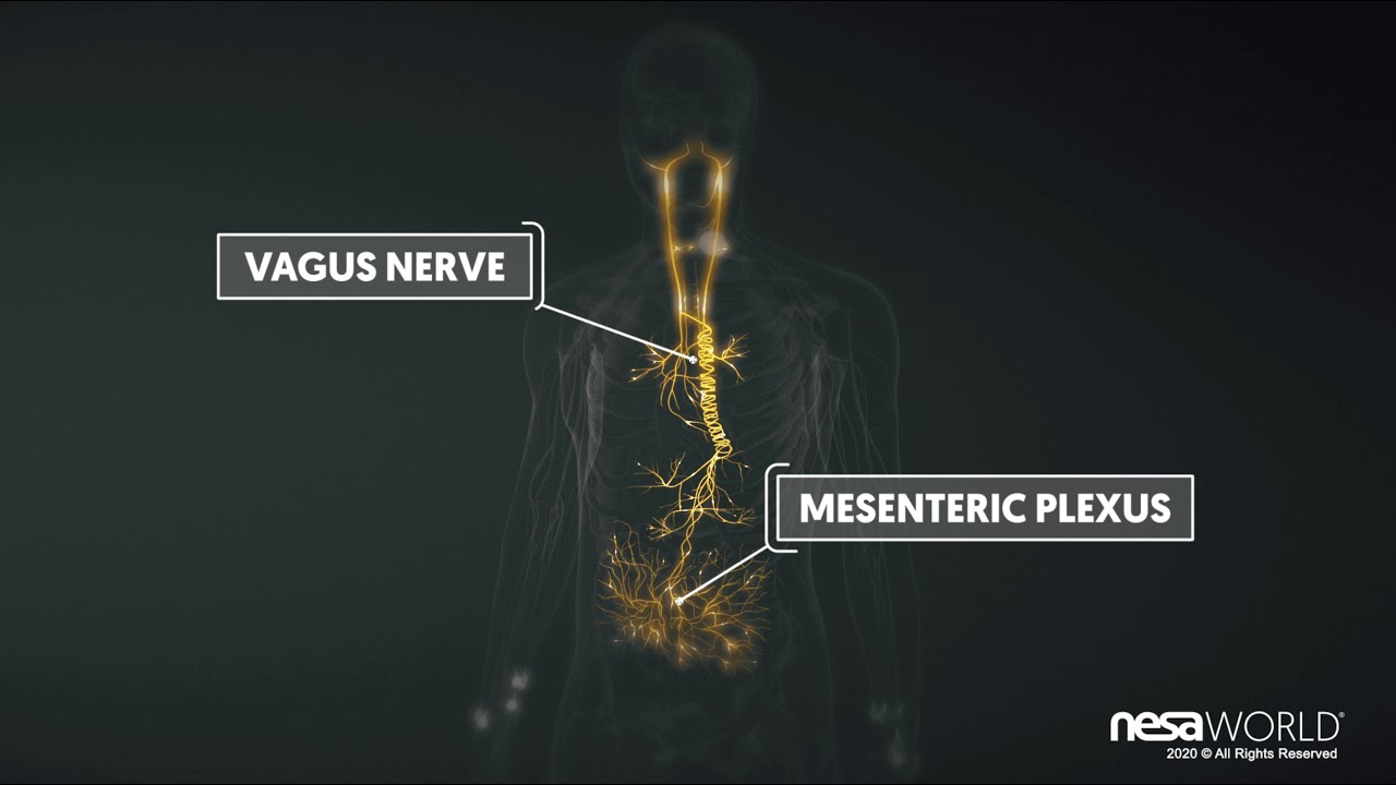 NESA technology explainer